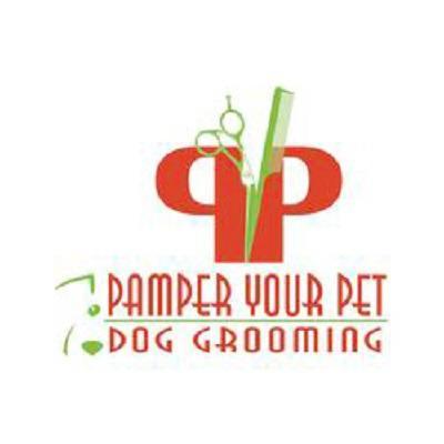 Pamper Your Pet