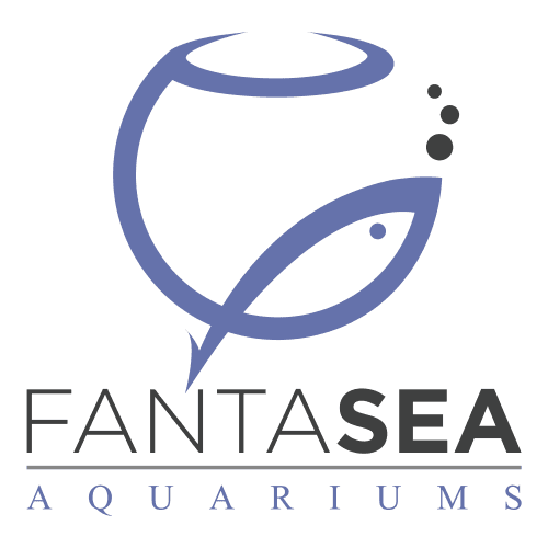 FantaSEA Aquariums | Aquarium Design, Installation, and Service