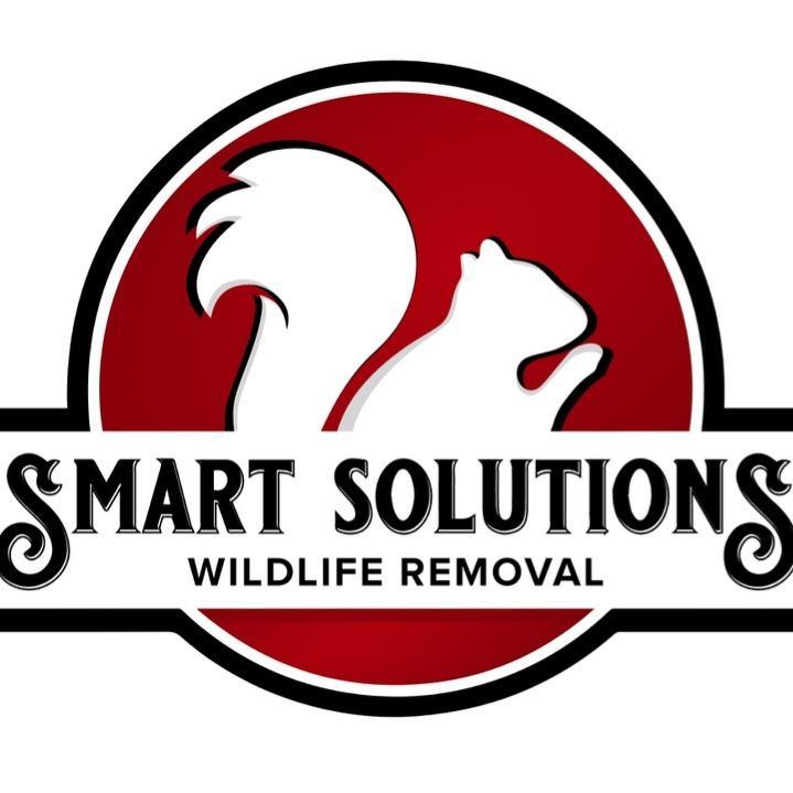 Smart Solutions Wildlife Removal