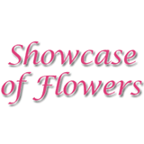 Showcase Of Flowers/Gainers Four Seasons