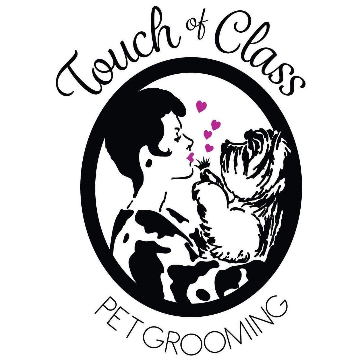 Touch of Class Pet Grooming