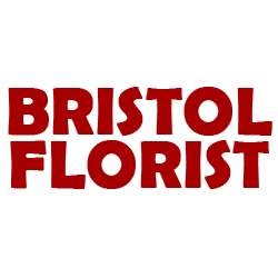 Bristol Florist