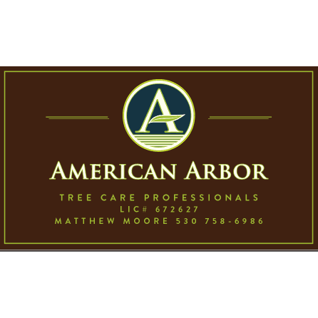 American Arbor Tree Care