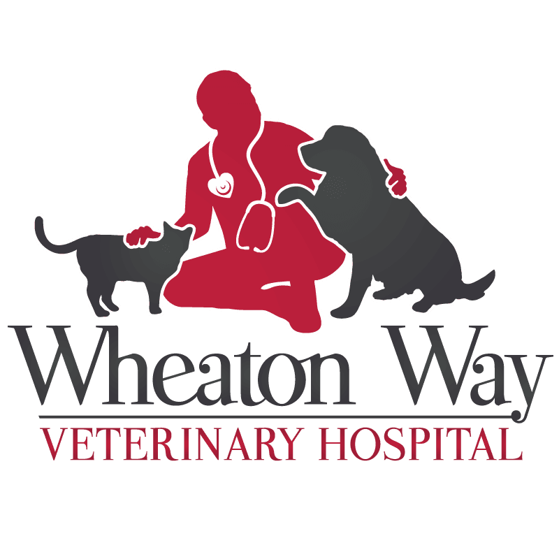 Wheaton Way Veterinary Hospital