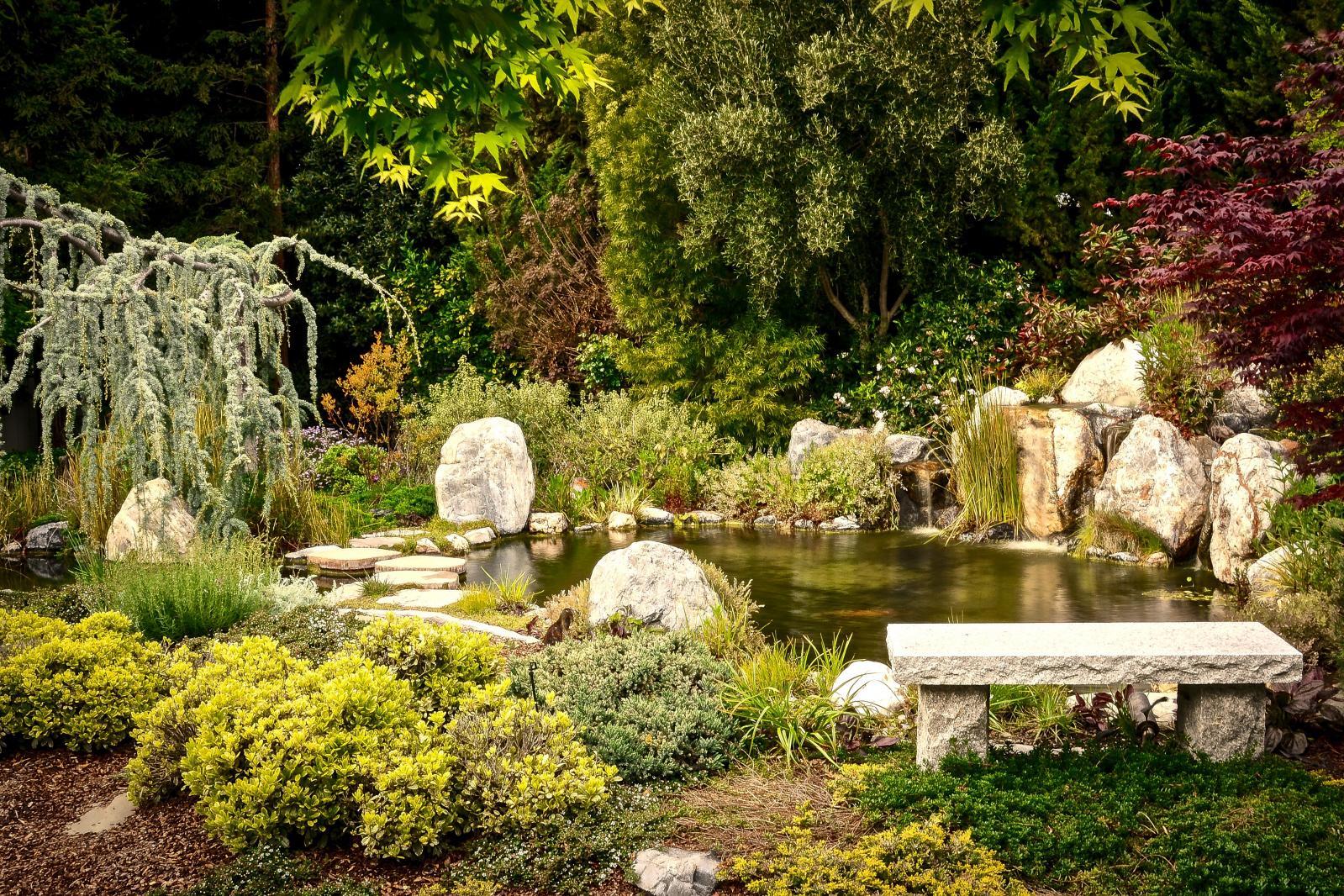 Koi Ponds by Pacific Pond & Waterfall