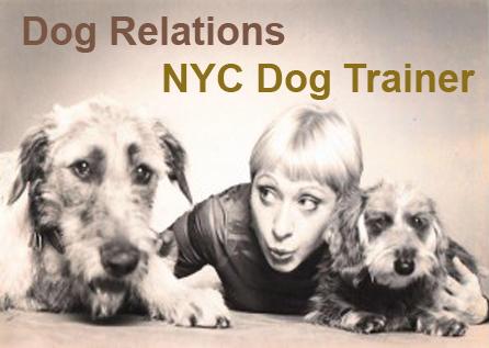 DogRelations - Dog Trainer NYC