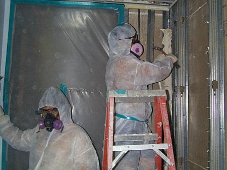 Professional mold remediation services are the only method that guarantees complete elimination of the potentially toxigenic substance.