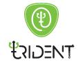 Trident Case