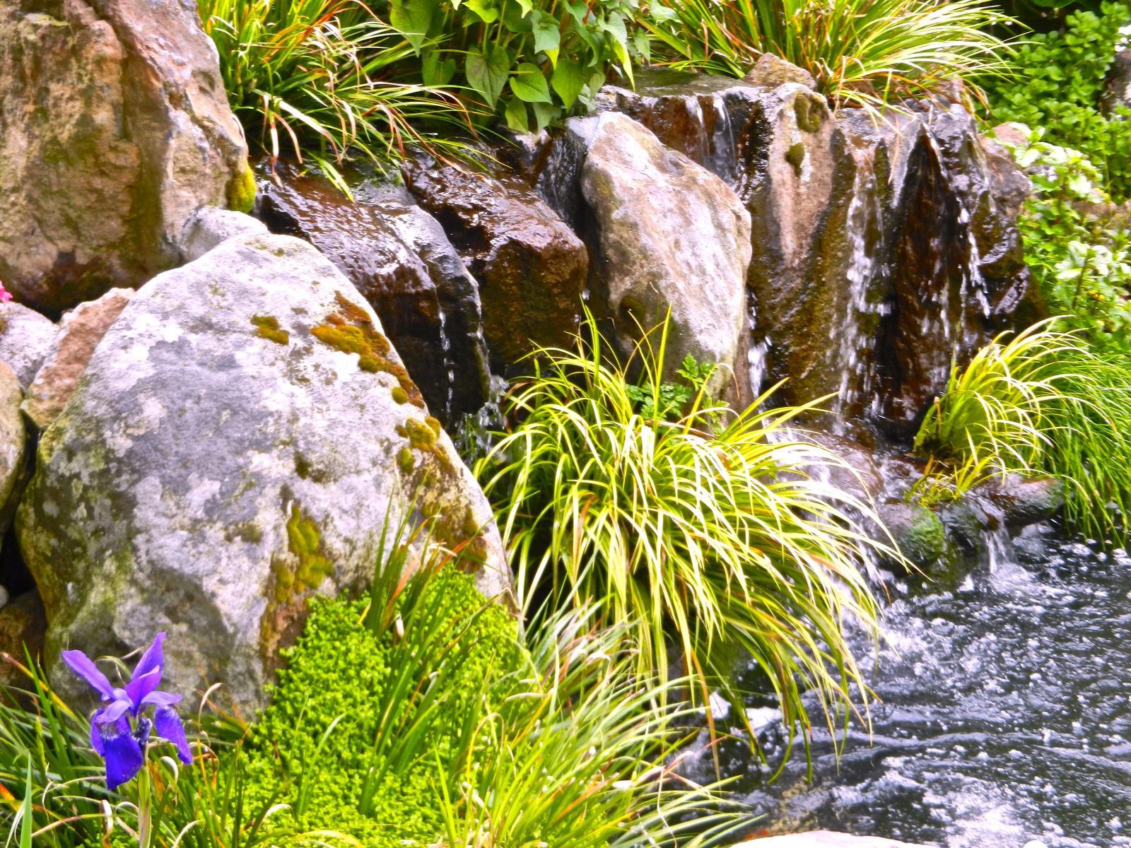 Koi Ponds by Pacific Pond & Waterfall