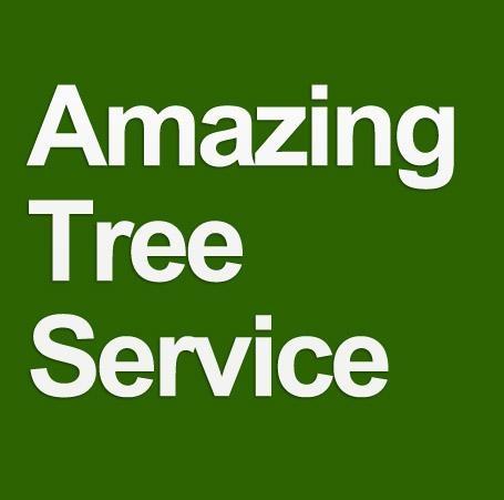 Amazing Tree Services