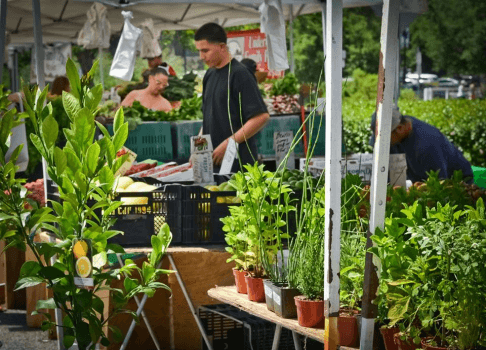 LA City Farm