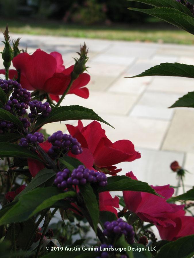 Residential Garden, Fairfield, CT