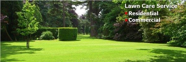 Buckhead Residential and Commercial Lawn Service