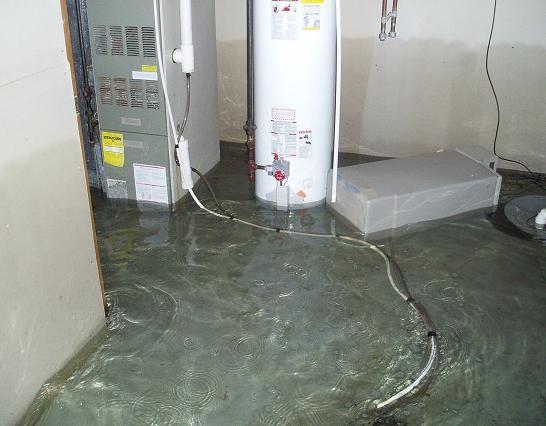 Flooding can lead to a huge amount of mold damage. Call to find out how to prevent mold damage following a major or minor flooding incident.