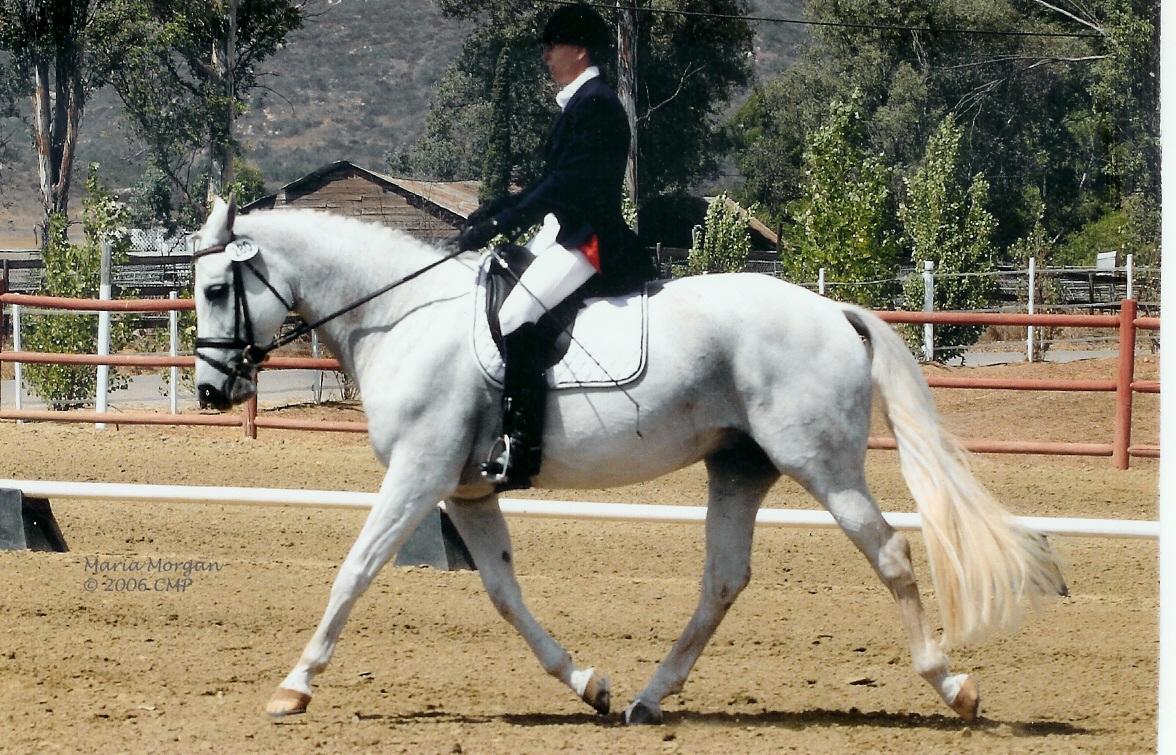 Newport Mesa Pony Club