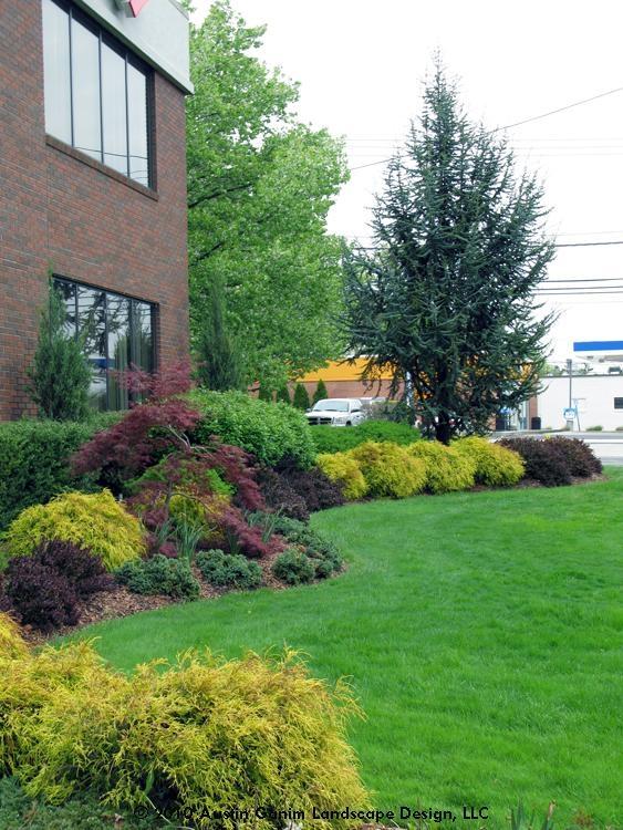 Commercial Landscape, Fairfield, CT