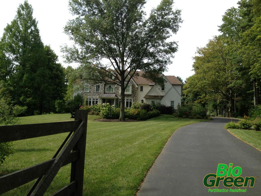 Bio Green knows how to get your lawn & landscape green and healthy.