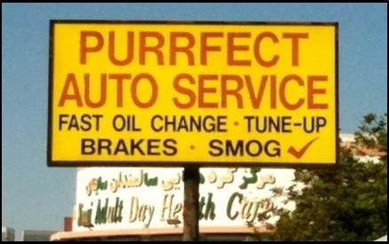 Purrfect Auto Service # 50