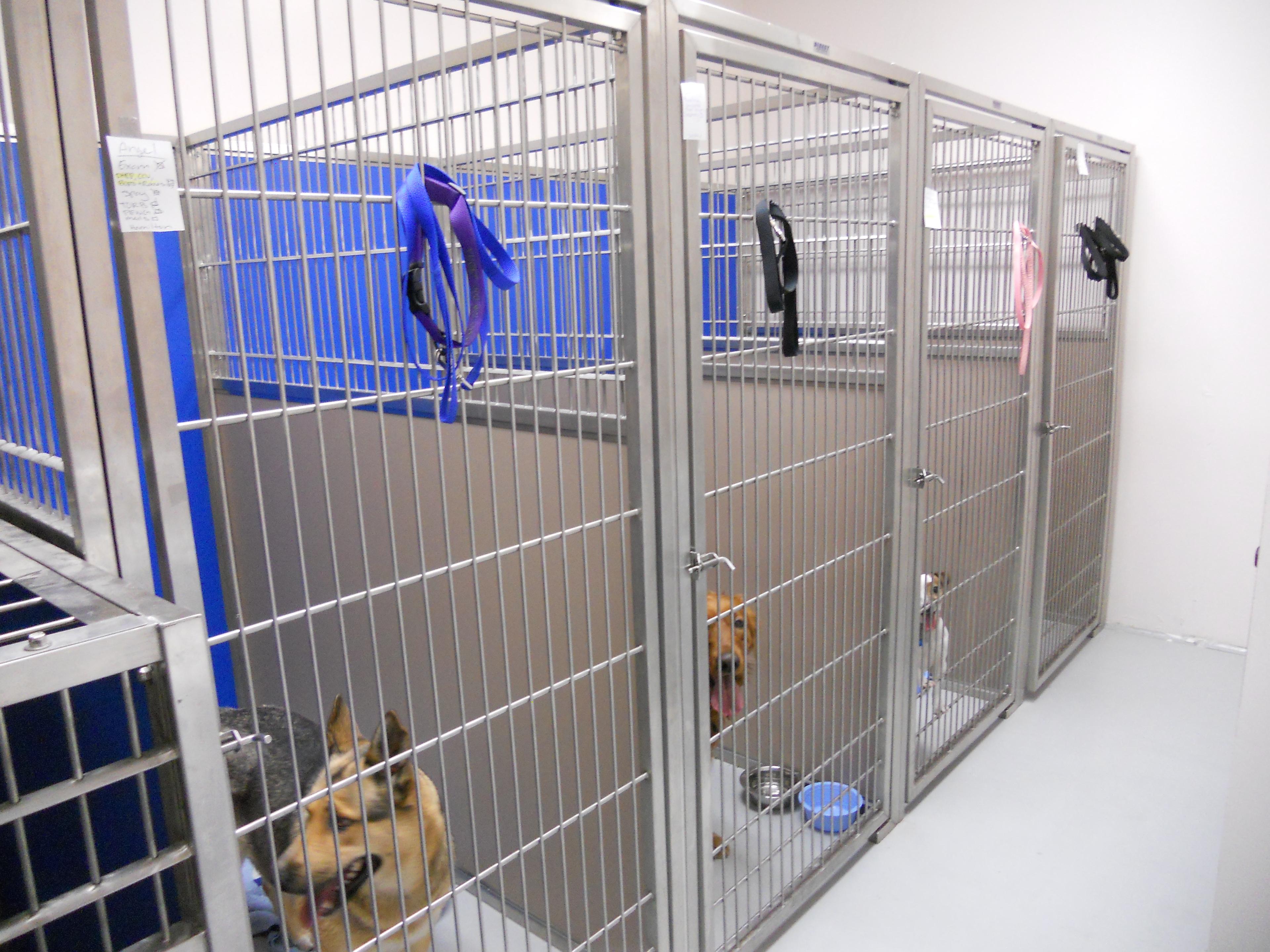 Kennels