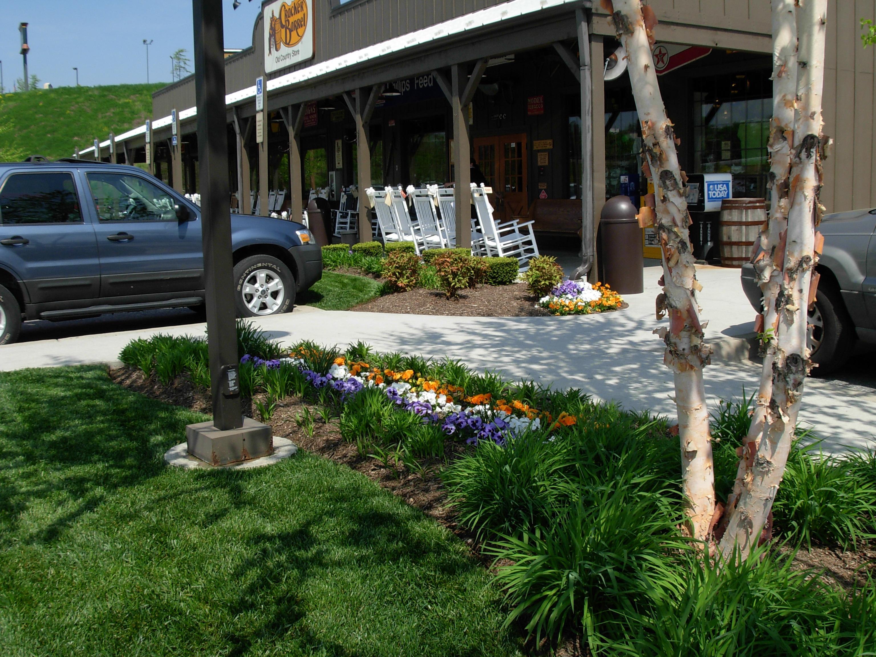 Flowers Cracker Barrel