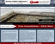 Action Public Adjusters