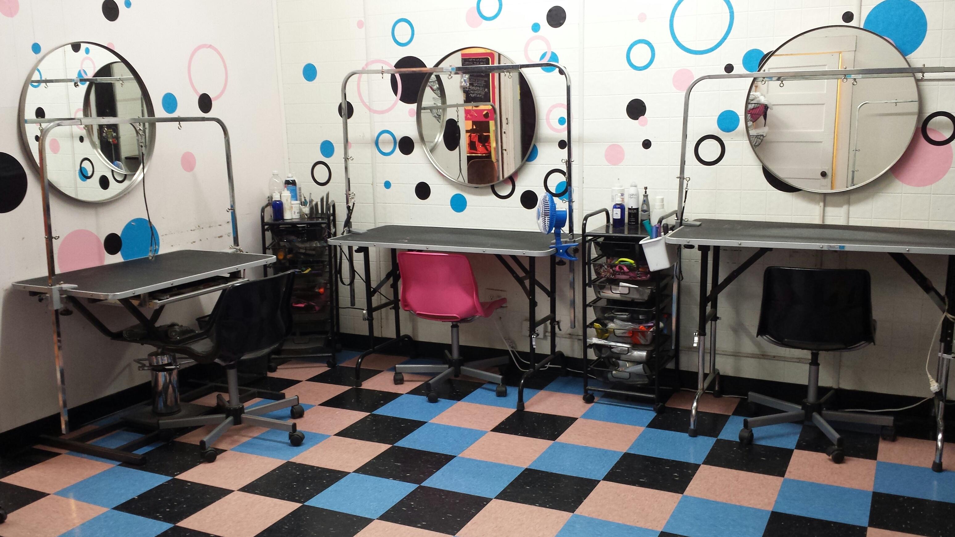 Dog Grooming Salon