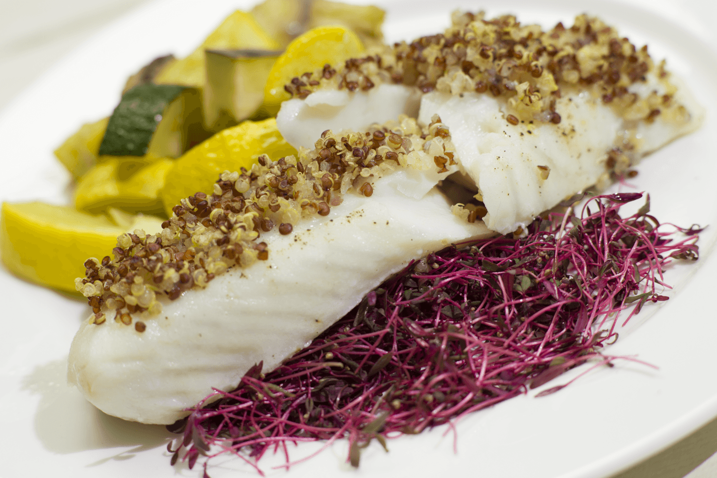 Quinoa-crusted halibut over micro greens with sauteed summer vegetables