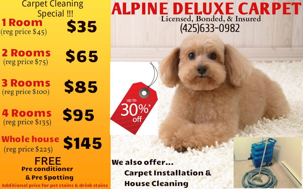 Alpine Deluxe Carpet