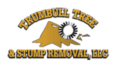 Trumbull Tree & Stump Removal