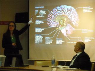 Neuropsychology courses