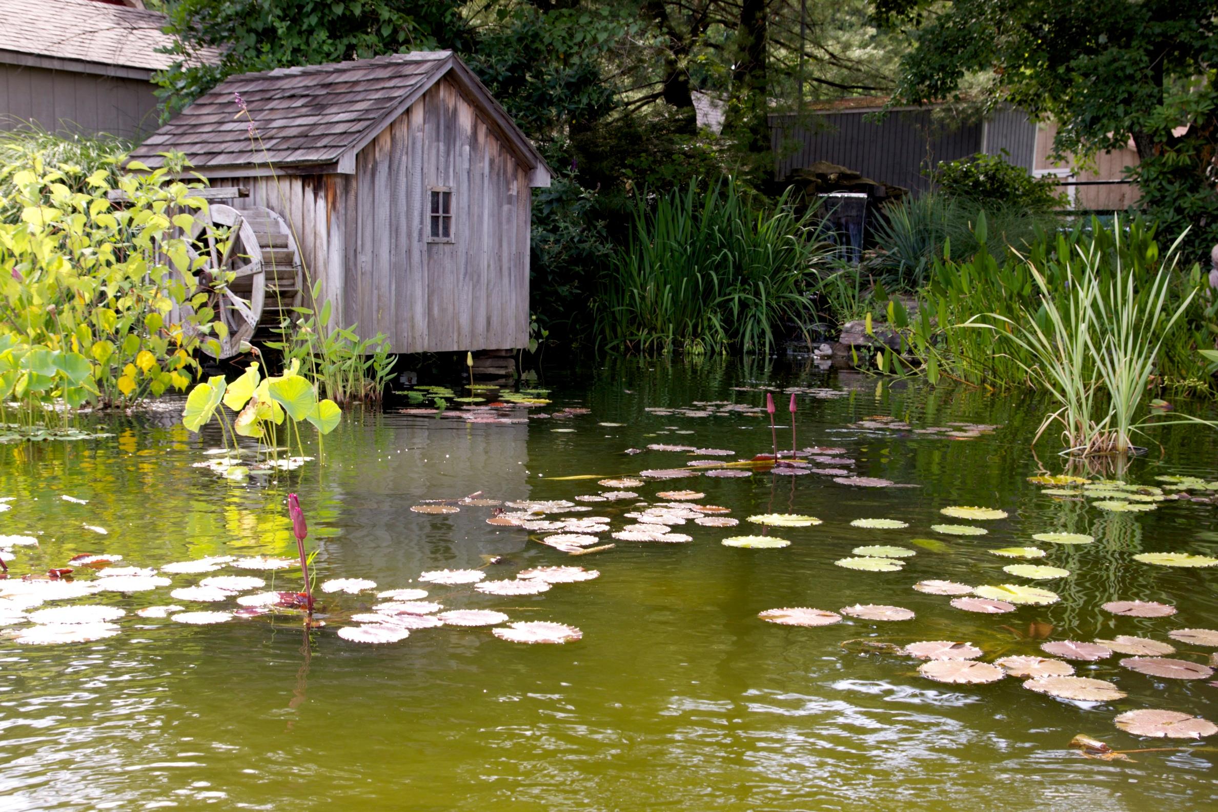 Pond at Garden Oaks