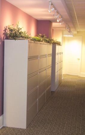 Filing Corridor, Fuchia Accent Wall, Washington, DC