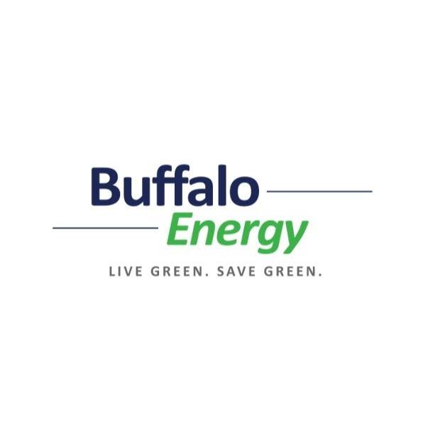 Buffalo Energy, Inc.