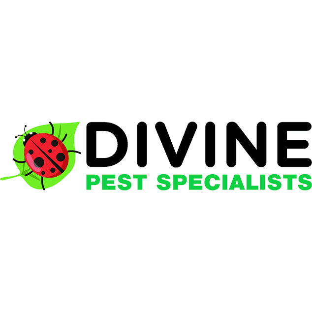 Divine Pest Specialists