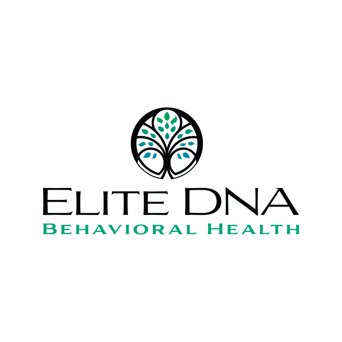 Elite DNA Behavioral Health - Fort Myers - Occupational Therapy, Speech & ABA