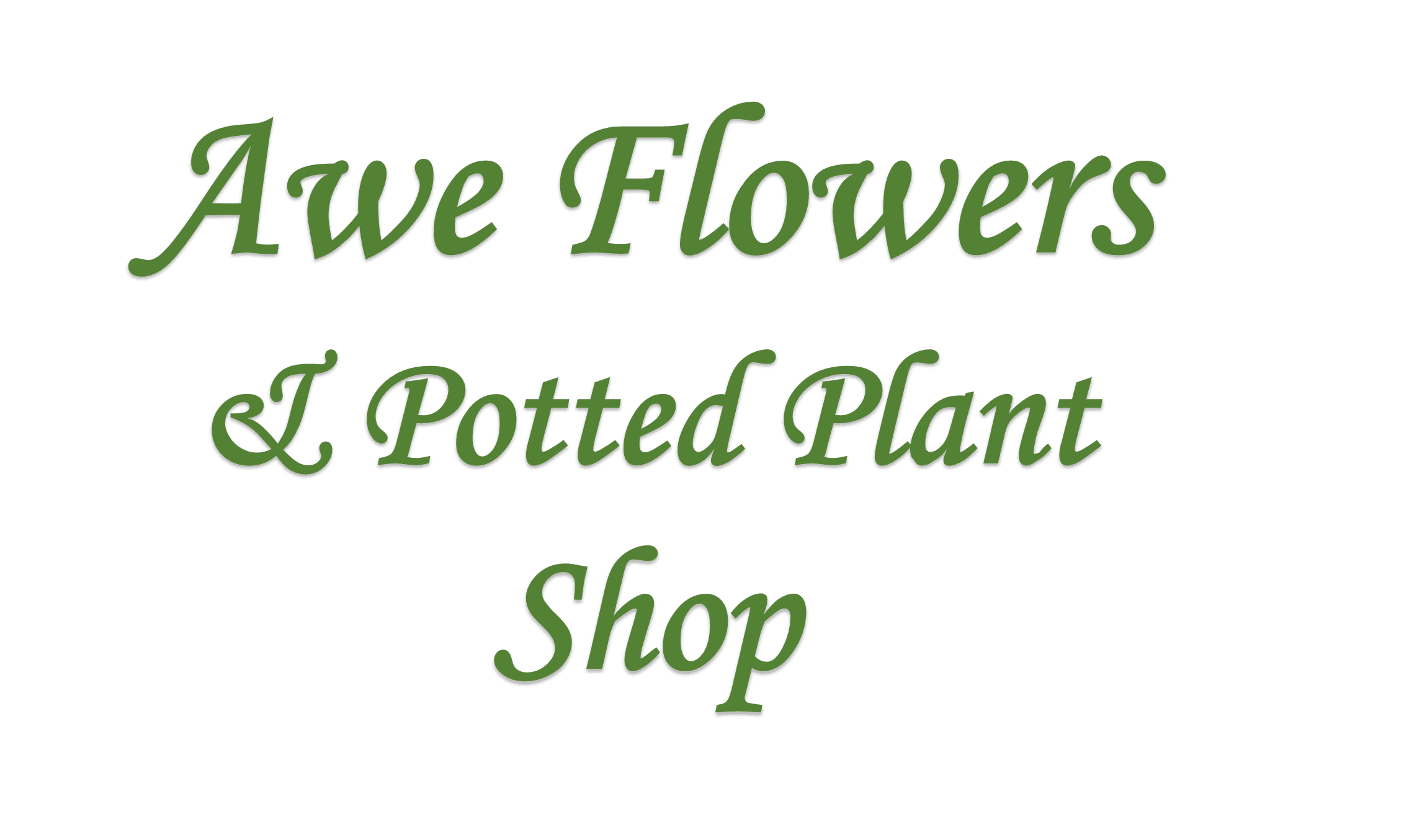 Awe Flowers & Potted Plant Shop