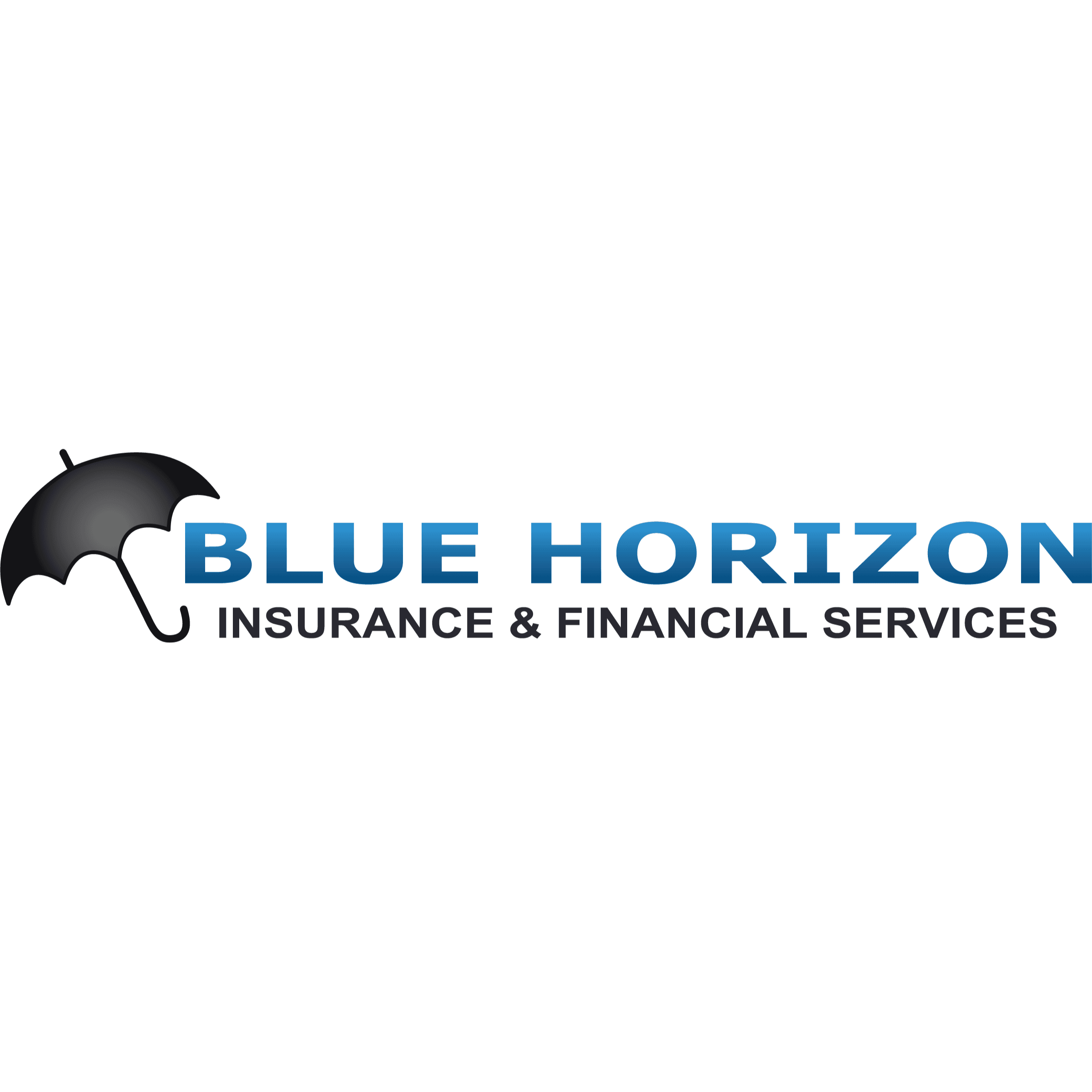 Blue Horizon Insurance and Financial Services LLC