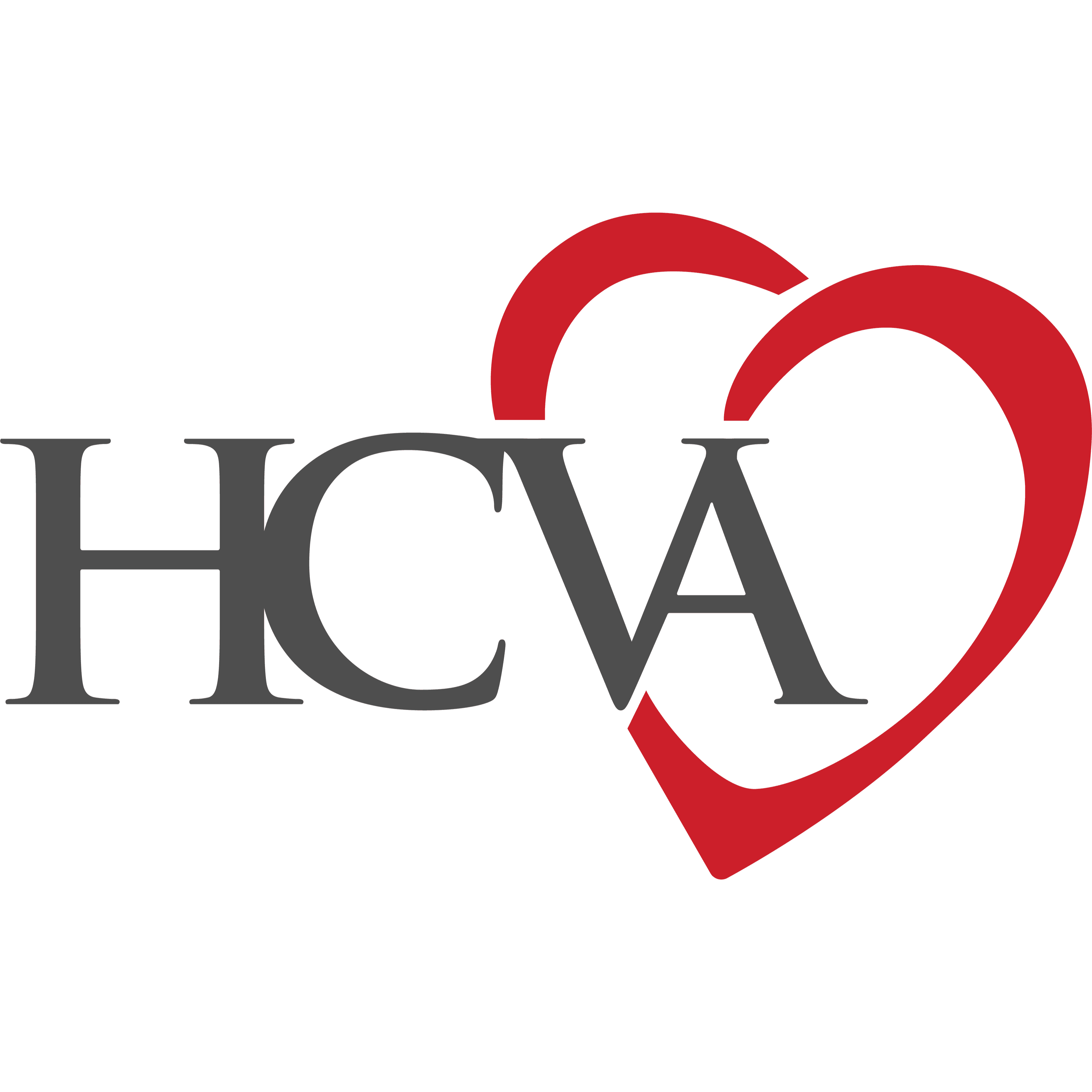 Houston Cardiovascular Associates (Sugar Land)