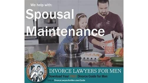 Divorce Lawyers for Men