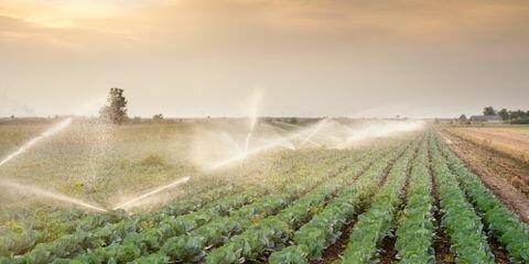 Ernst Irrigation