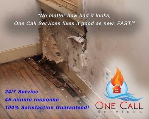 One Call Services