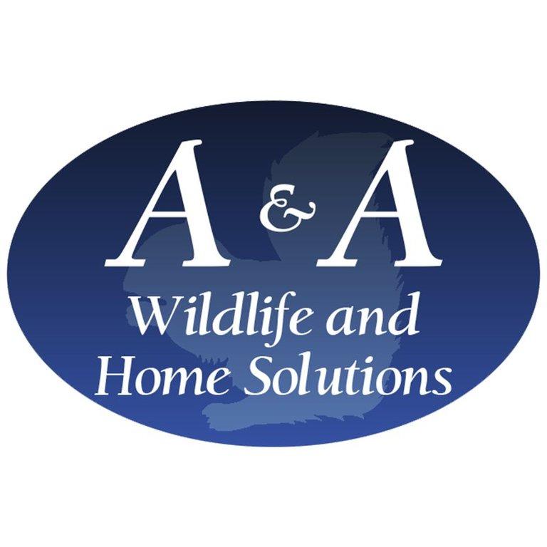 A & A Wildlife & Home Solutions