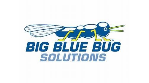 Big Blue Bug Solutions