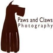 Paws & Claws Photography