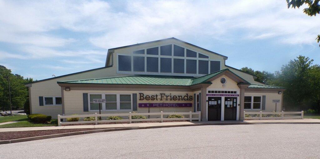 Best Friends Pet Care