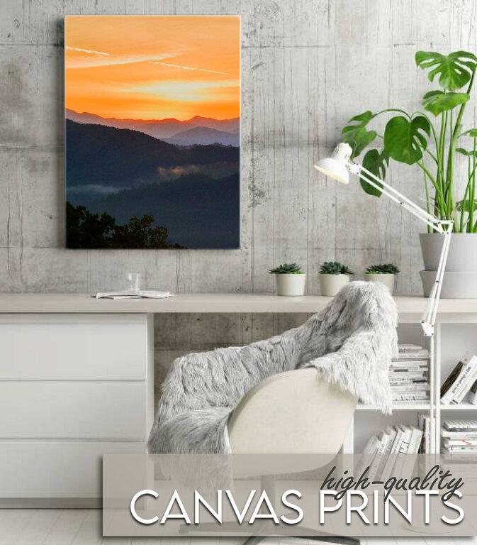 Atlanta Canvas and Print