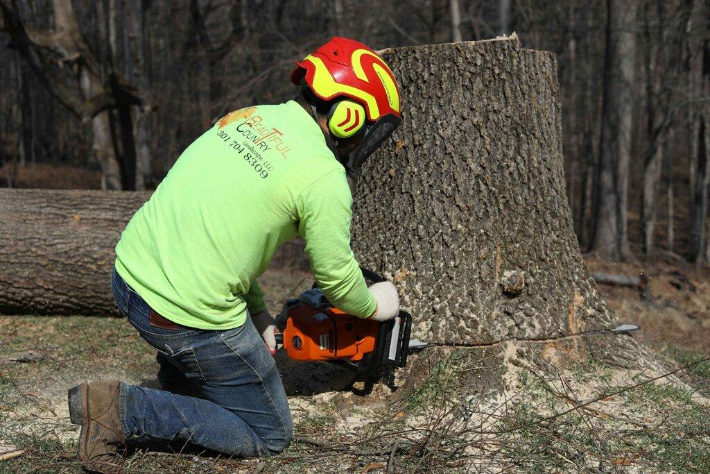 Beautiful  Country Tree Service