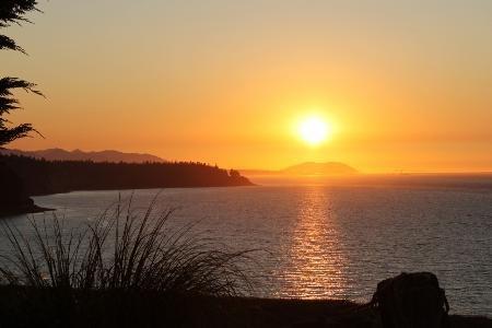 Sea Cliff Gardens