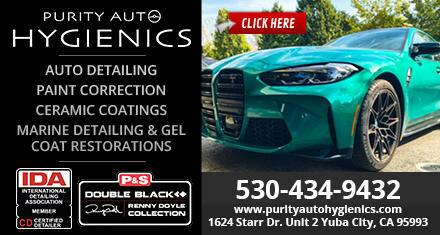 Purity Auto Hygienics