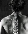 Ace Wellness-Acupuncture & Chiropractic Excellence